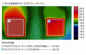 20分経過時のサーモグラフィーデータ